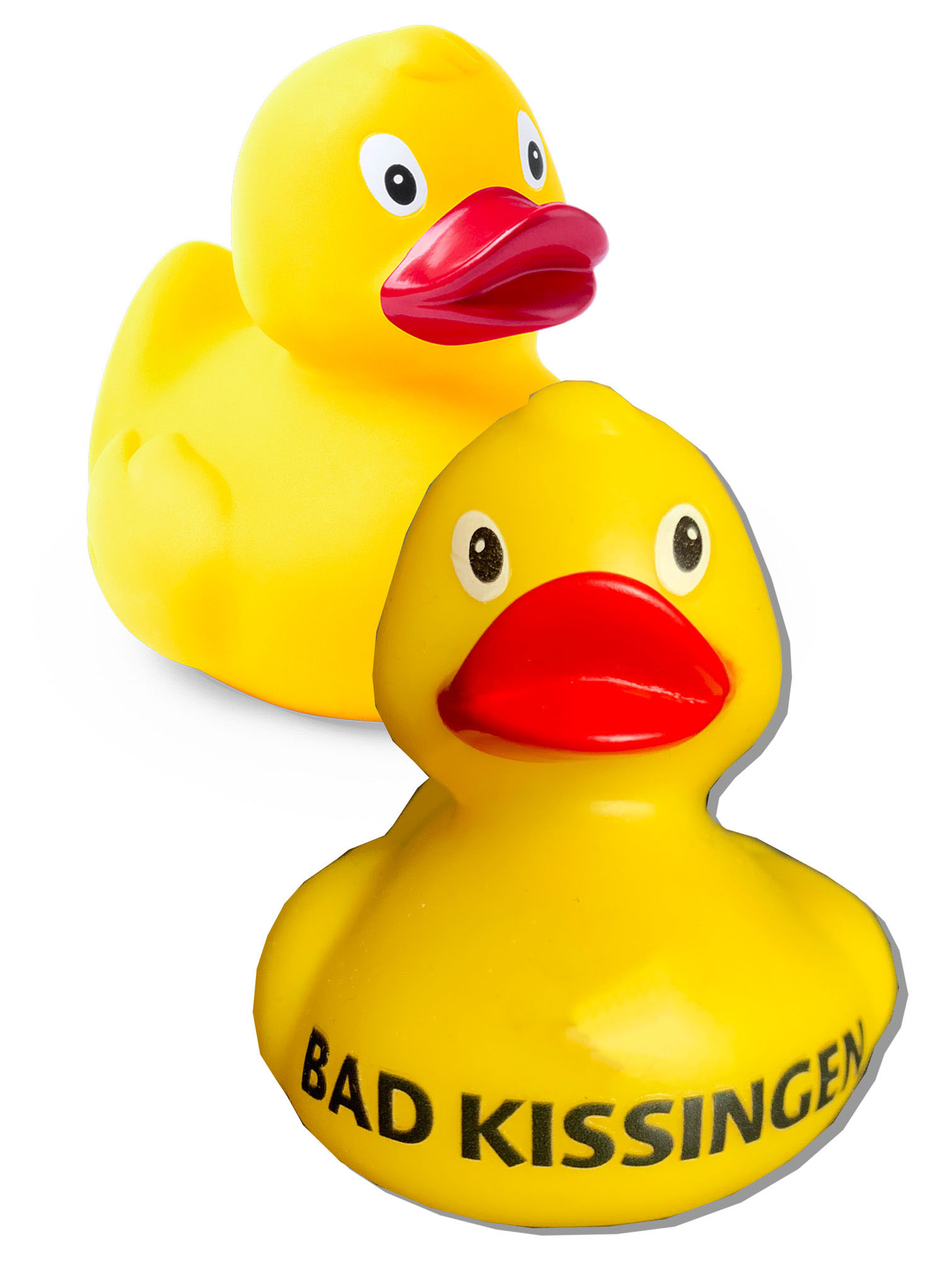 ENTE BAD KISSINGEN 1263