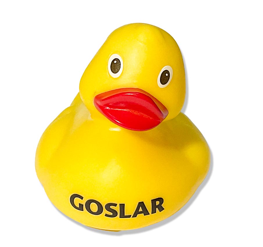 ENTE GOSLAR 670