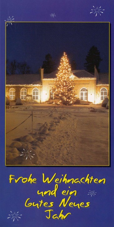 Weihnachtskarte BAD DRIBURG W-5011