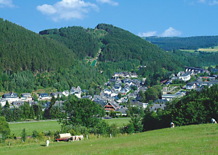 Willingen 6124